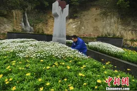 重庆打造公益生态葬园区 为特殊人群提供免费墓位图片