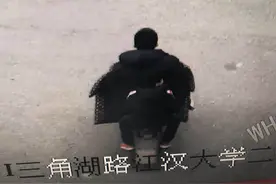 两条草鱼引发流血冲突，酒店大厨偷鱼划伤塘主被拘留图片