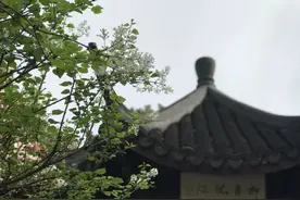 春天百花里，数她气质最好 丁香一样的姑娘图片