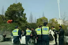 网约车中有“黑车” 杭州开展网约车集中整治图片