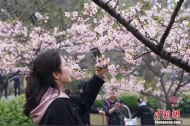 【荐读】喜欢发朋友圈的，都是什么人？图片