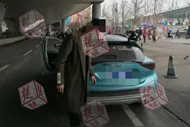 车顶危险！“蜘蛛侠”来赏樱花被交警请下车图片