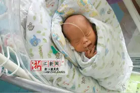 跨越千里的生命接力后续 备受关注的小生命毛毛长胖了！图片