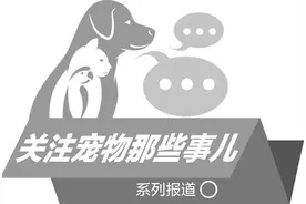 路边添了新设备 专门接待狗方便图片