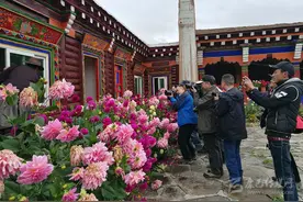 以文化人乘风行——甘孜州文艺事业发展综述图片