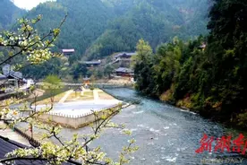 乡村振兴纪实图片