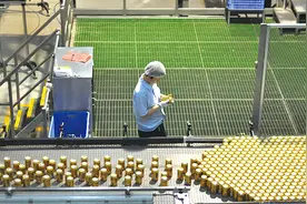 加多宝人事震荡 品牌官司后遗症仍未消弥图片
