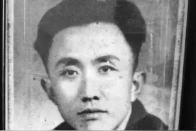 儿歌《小燕子》词作者是河南确山人 创作灵感来自老家屋檐的燕巢图片