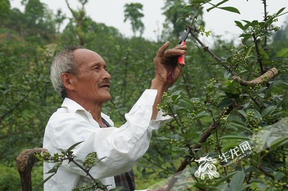 閲嶅簡杩?涓壒鑹插啘浜у搧鍘夊浜嗭紒澶鍏嶈垂甯畠浠墦骞垮憡