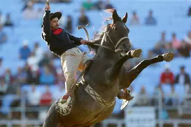 （外代一线）（6）驯马比赛图片