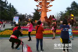 好春光 快来宝鸡人民公园赏郁金香看“骆驼”图片