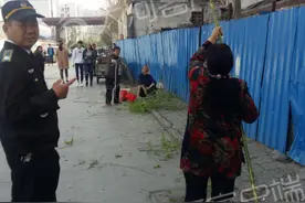 男子郑州街头摘榆钱儿折枝毁树：路边树谁都能摘图片