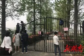 依依小花 踏之何忍 洋湖景区呼吁游人脚下留情 静待7月花开图片