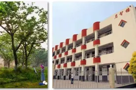 宿迁21个村镇成为全省示范，有没有你家？图片