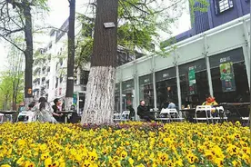 成都少城片区：烟火气和文艺范在这里交融图片