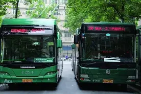 收藏！8条扫墓专线、7条定制公交线！杭州清明出行全攻略图片