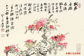 海棠不惜胭脂色，话说“海棠花”！图片