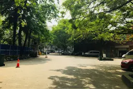 中山公园后区露天停车场门禁改造:已办证的要重新办理图片