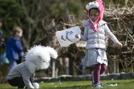 （国际）（2）温哥华举行复活节寻彩蛋活动图片