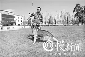 汶川地震10年 功勋搜救犬“70岁”了图片
