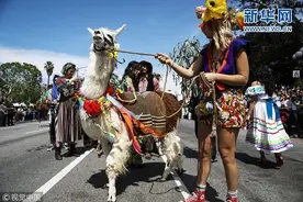 美国：动物复活节祝福仪式举行 狗狗坐“豪车”出行“一脸惬意”图片