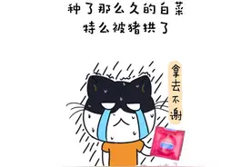 好闺蜜谈恋爱了是怎样一种体验？图片