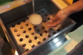 这样的菜心你敢吃？图片