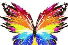 一个视频完美解释什么叫蝴蝶效应图片