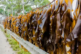 细数吃海带的这些好处，您吃了吗？图片