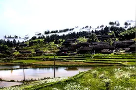 寻访百年环保村--天柱县高酿镇侗族富荣传统村落见闻图片