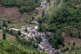 大方县绿塘乡惊现长16厘米的巨型蝌蚪图片