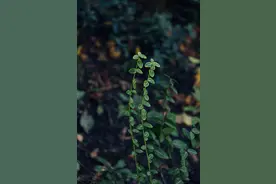 和你在一起，为什么需要改变和容忍的总是我？图片