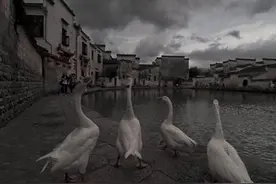 但愿你的道路漫长图片