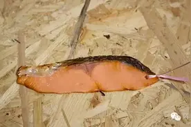 世间万物，唯有美食与书籍不可辜负图片