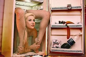 800块买来邻居小妹妹的2手冰箱 打开发现被肢解的人体！图片