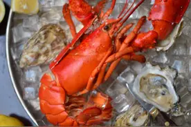 鲜在艾美·波士顿龙虾图片
