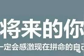 高考作文：我的行囊（无风版）图片