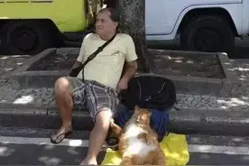 猫咪也是人的好朋友..咳咳，人类...图片