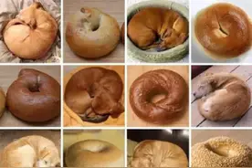 这些狗简直有毒啊！分分钟让你混乱图片