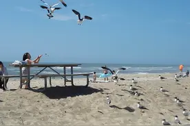 我为何要到美国陪读 |（陪读日记）图片