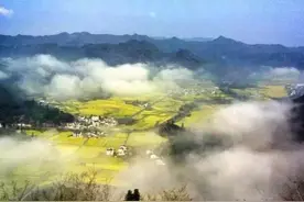 如孝法师：浅说缘起种种图片