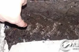 刨开地面，地下水喷涌而出图片