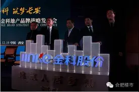 5月合肥富人买了246套顶豪！金科12亿元拿下半岛一号图片