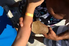 女子去海边游泳，竟遭不速之客一口咬住！没想到真相却是这样图片
