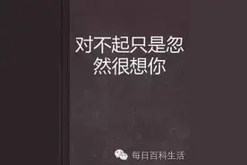 对不起，我又想你了。（续）图片