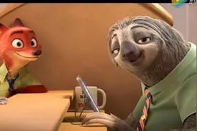 因为一只树懒爱上一群人图片