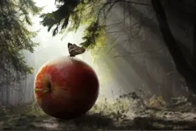梦到捉鱼有什么意味？图片