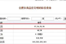 蓝光·雍锦半岛精装高层备案已出 均价13800元/平图片
