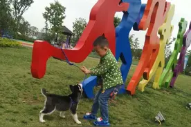六一儿儿童节快到了，二哈陪小主人玩的不亦乐乎图片