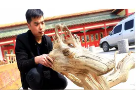 “龙形崖柏”惊现郑州，专家初步估计价值超500万图片